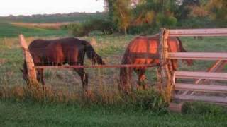 Wild Horses by Mazzy Star 