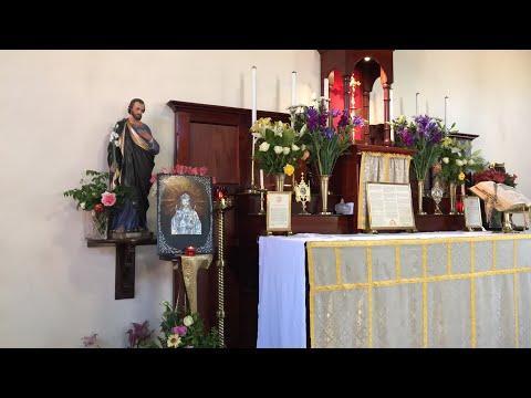 Live Traditional Latin Mass Sunday 25th October, 2020 at St Anne’s - CHRIST THE KING