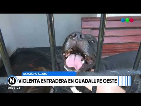 Perros salvaron a sus dueños en un violento robo a una vivienda de barrio Guadalupe Norte