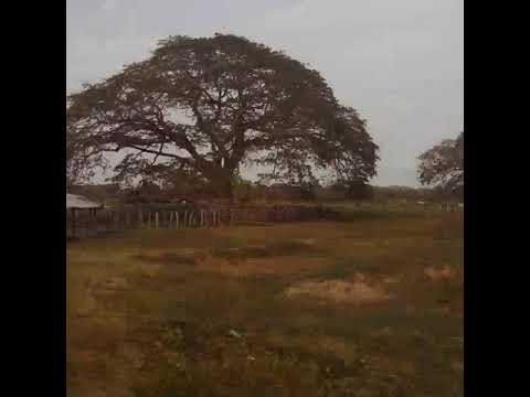 El llano me está llamando