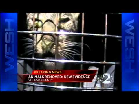 Video evidence released in animal shelter seizure