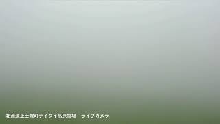 ナイタイ高原牧場