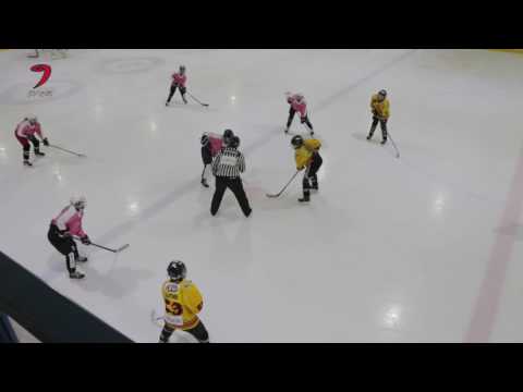 JYP D-tytöt - KalPa 19.2.2017