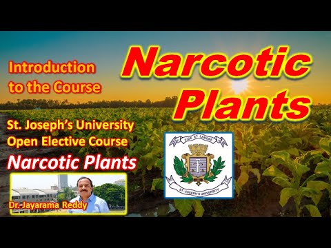 Introduction| Narcotics| Drugs| Opium| Heroin| Cannabis| LSD| Hashish| Morphine| Cocaine|Marijuana