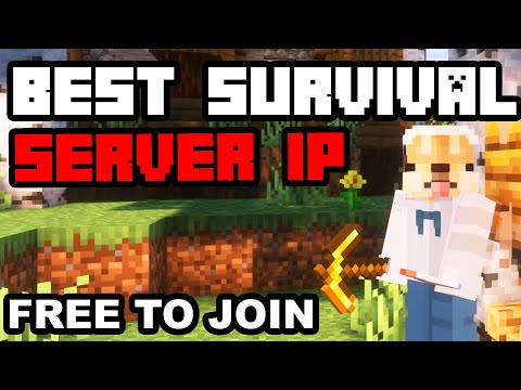 PlayFuse - Best Minecraft Survival Server to Join in 2023 (1.20)