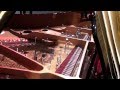 John Cage - Sonata II (from Sonatas and Interludes) - Inara Ferreira, prepared piano
