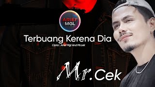 Download lagu TERBUANG KARENA DIA | Mr.cek mp3