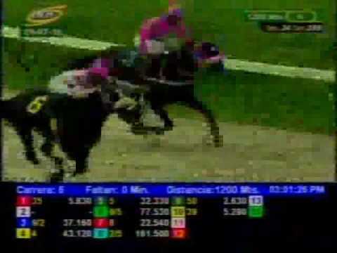 Resumen Viernes, 29 de Julio de 2016 - Valencia