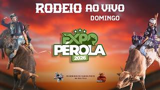 PÉROLA-PR 2026 | DOMINGO (AO VIVO)
