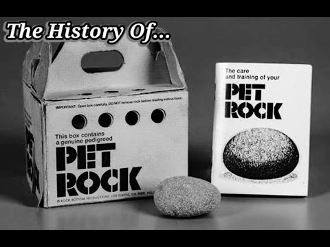 The History Of The Pet Rock