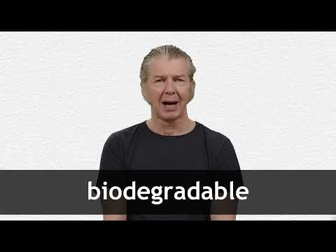 BIODEGRADABLE definition and meaning | Collins English Dictionary
