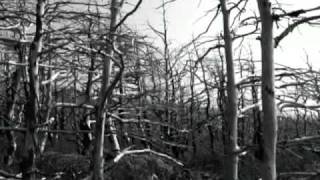 Johnny Cash - Ain&#39;t No Grave Lyrics W&#39;Pics (The undertaker Theme Song)