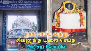 Temple video