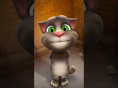 Ooi #shortsfeed #billi #viralshorts #trending #shorts