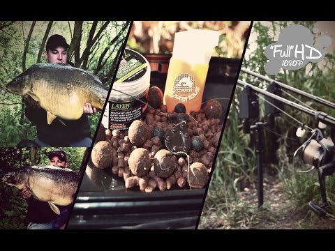 carp mysterious PF 2017