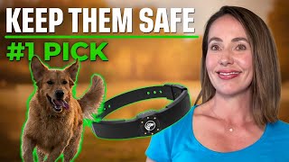 Best GPS Dog Collar (2026): We Tested Them All — Here’s the 