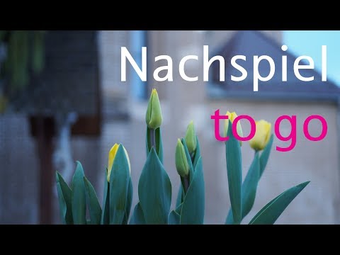 Nachspiel to go - Michael Schütz, Dance With Me