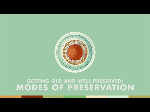 Getting Old and Well Preserved: Modes of Preservation