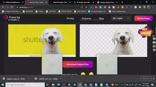 🚀🚀BEST FREE WATERMARK REMOVER SERVICE 🚀🚀