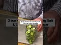 Easy Refrigerated Dill Pickles