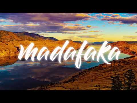 SA FAM LA - ( QUINAUS NCS x LOM NICK )