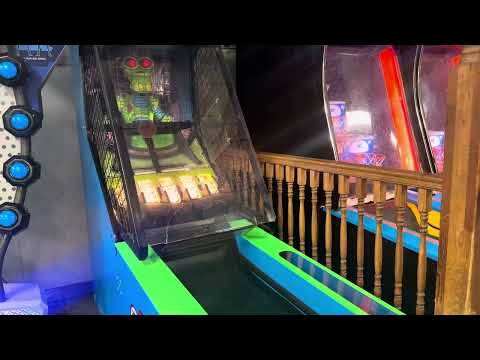 ice Dunk n alien! arcade at fun world ￼
