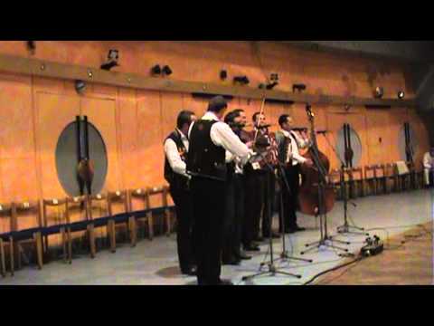 Ľudové hudby Železiar a Borievka na speváckej súťaži