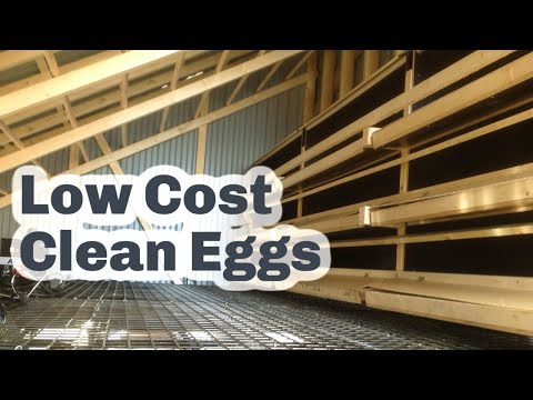 ROLLAWAY NEST BOXES GIVE CLEAN EGGS EVERY DAY