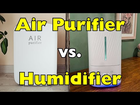 Air Purifier vs Humidifier: Which One Do You REALLY Need?