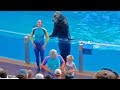 HIGHLIGHTS Sea Lions Tonite Show At SeaWorld Orlando