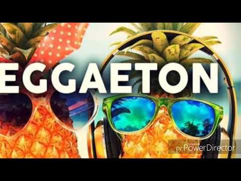 🔥A ella Le gusta el Reggaeton🔥❌Dj Shayden❌Dj israel L-gante❌💯💯