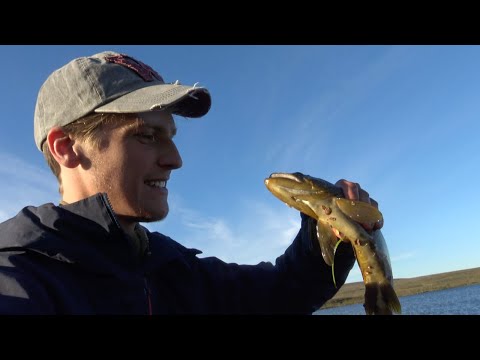 Norge på langs gjennom alle årstider (1/2) (with English subtitles)