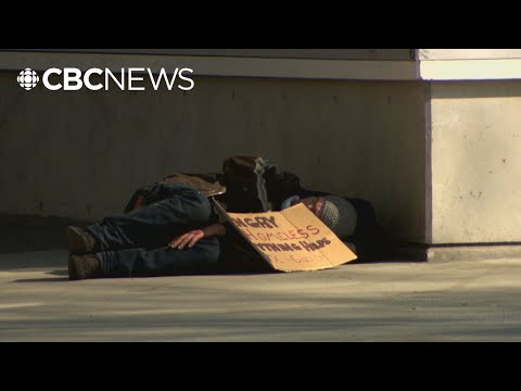 Homelessness across Metro Vancouver hits all-time high, count reveals