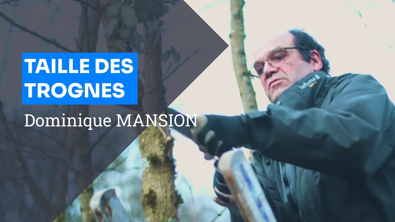 Taille des trognes, avec Dominique Mansion