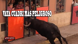 VAYA CUADRI 24 06 2022 RAFELBUNYOL