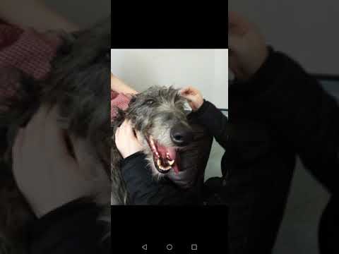 Some of woody's happy moments