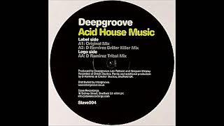 Deepgroove - Acid House Music (D Ramirez Tribal Mix)