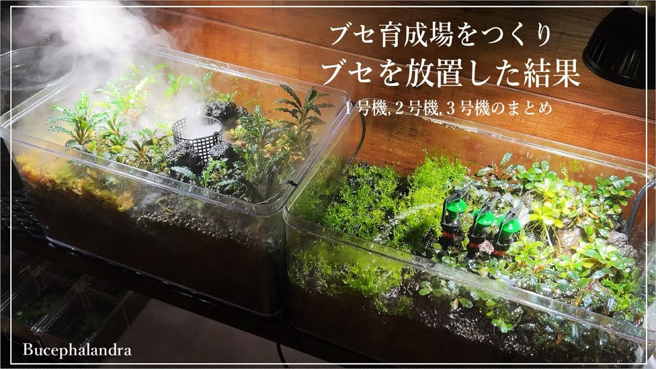 我が家のブセ総力戦【１号機～３号機まとめ】