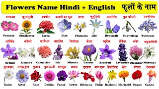 Flowers Name in English And Hindi With PDF  फू