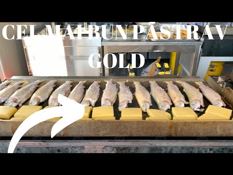 Barajul Paltinul, Valea Doftanei- Cel mai bun pastrãv- Chiar îmi place sã manânc!!