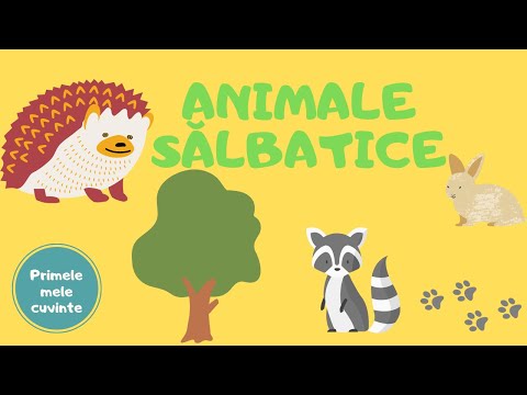 Primele mele cuvinte - Animale sălbatice