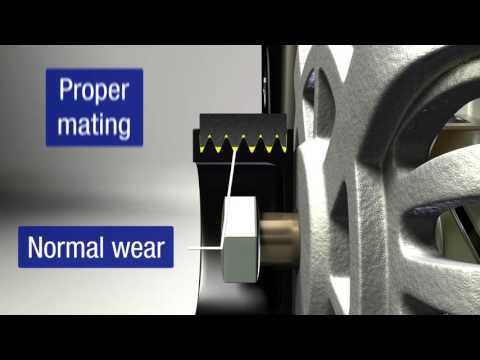 Gates - Belt Wear / Mating