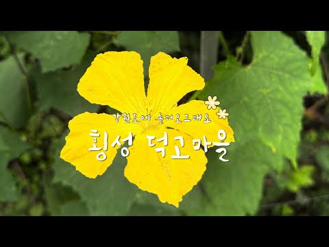횡성 덕고마을