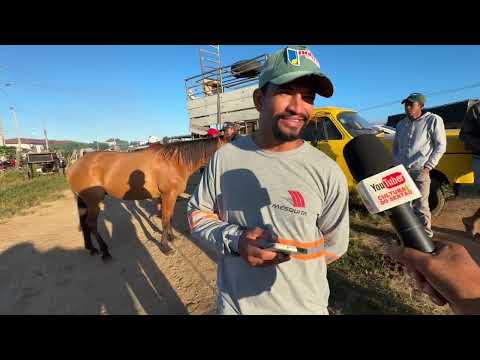 Feira de Cavalos em Dois Riachos - AL 29 - 07 - 2026 #nordeste 