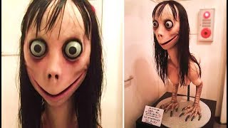 The Real Story Behind Momo And It&#39;s Not What You&#39;d Expect