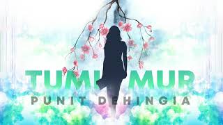 Download lagu Punit Dehingia | TUMI MUR | Nitupan | Assamese EDM song mp3