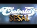 Cokelat - Sesal (Video Lirik)