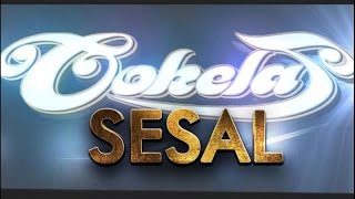 Download lagu Cokelat - Sesal (Video Lyric) mp3