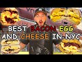 THE ULTIMATE NYC BACON EGG CHEESE CRAWL