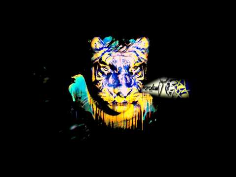 Ronnie & Wylde - Don't Stop (Original Mix)